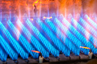 Burwarton gas fired boilers